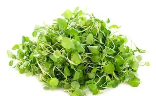 Berros (1 Kg.)