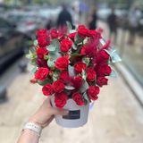 Red roses (xs box)