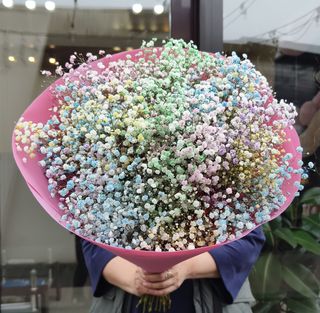 Bukiet z kolorowej gipsówki