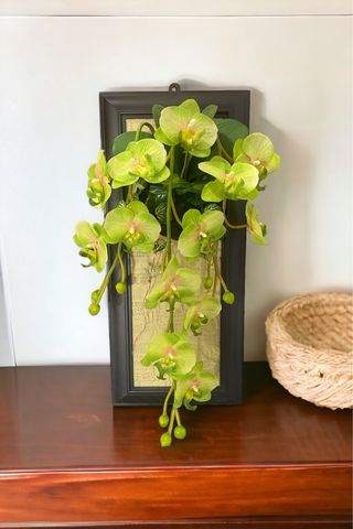 Tableau Orchidée Green 