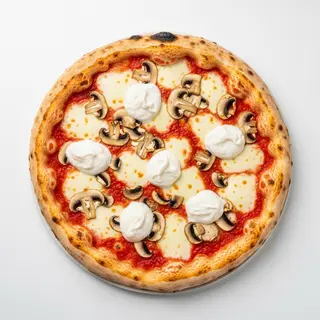 Panna funghi