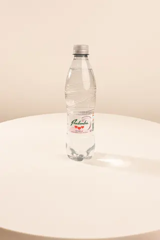 Obična voda 0.5l