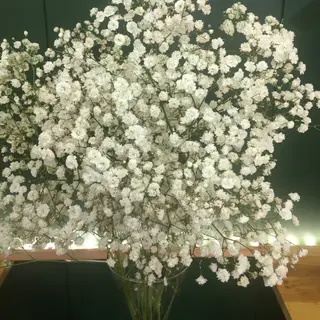 Ramo Paniculata Blanca