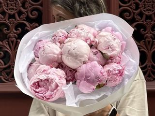Soft Pink Peonies