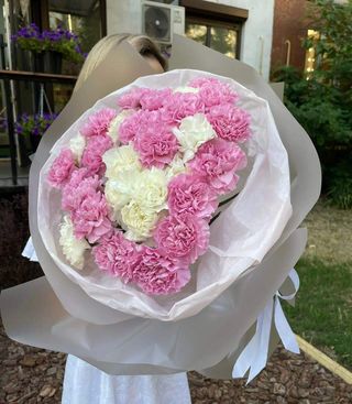 29 діантусів