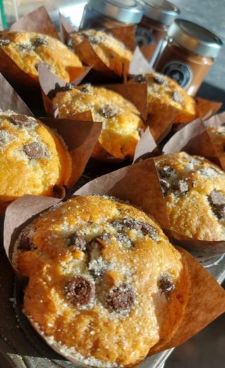 Chocolate Chip Muffin