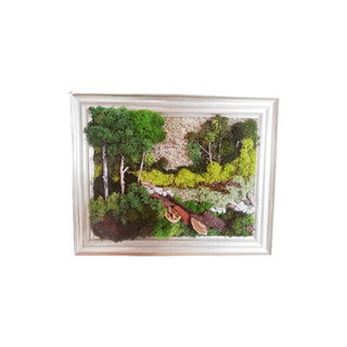 Aranjament licheni, cod ARL40