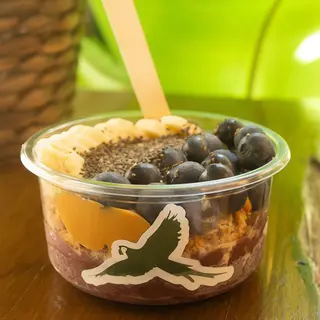 Bowl Fit Grande