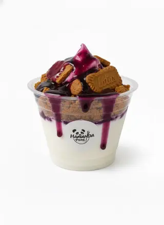 YOGUR SIROPE DE ARANDANOS Y GALLETA LOTUS
