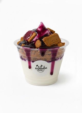 YOGUR SIROPE DE ARANDANOS Y GALLETA LOTUS