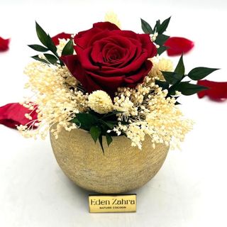 Trésor Éternel Rouge