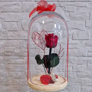 Rosa en cúpula de cristal