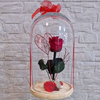 Rosa en cúpula de cristal