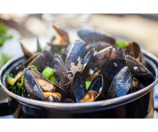 SALADE CALAMAR ET MOZZARELLI