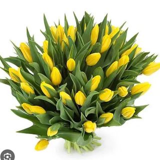 Bouquet big di tulipani gialli 