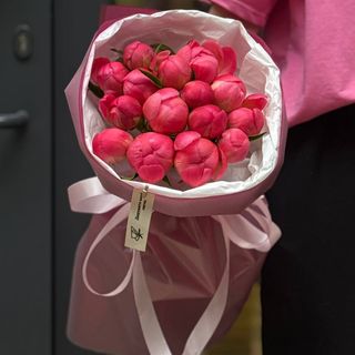 15 півоній Coral Sunset