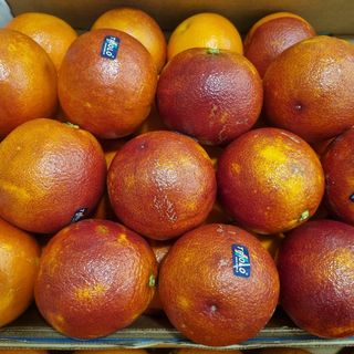 Arancie tarocco lempso