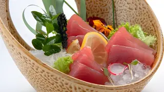 Sashimi Maguro