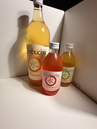 Bio Kombucha 1 L