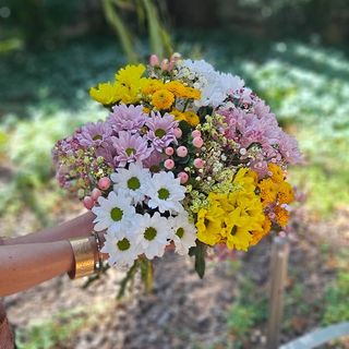 FLORES “MENORCA”