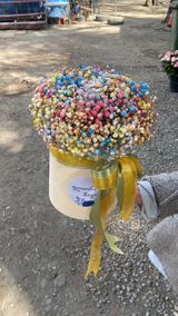 ფერადუ გიფსოფილა