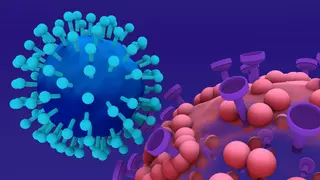 Infecciones 