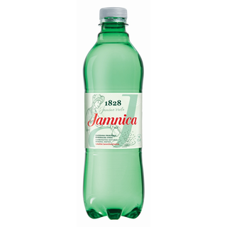 Teriyaki piletina + Jamnica 0.5l