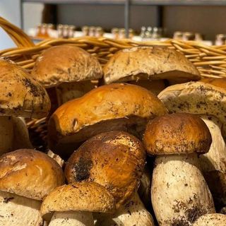 Tartufo e Porcini