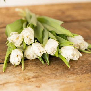 Ramo de tulipanes blancos. 16 tallos