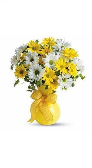 Mazzo di Margherite senza vaso 