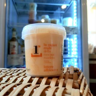 Yogurt all'albicocca 125 g
