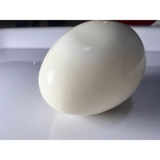 Boiled Egg
