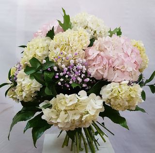 "El Regalo Perfecto: Ramo de Hortensias Selectas"