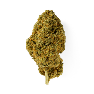 HARLEQUIN 3,5GR  THC-P