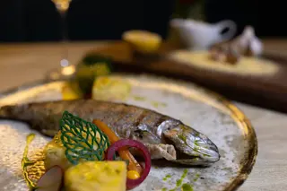 Pastrav  cu mamaliguta aromata si sos de usturoi 