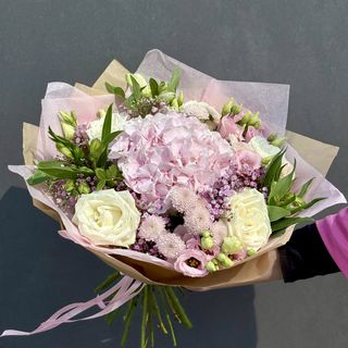 Hortensja w towarzystwie