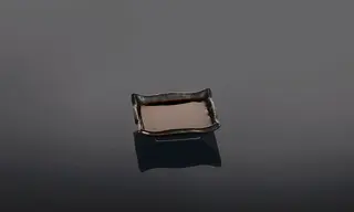 სოიოს სოუსი