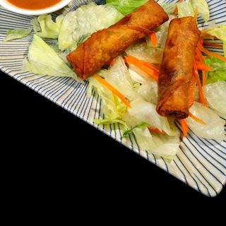 Crujiente paquetito vegetal (4 pzas.)