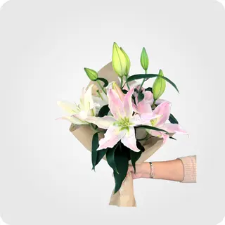 * თაიგული #14