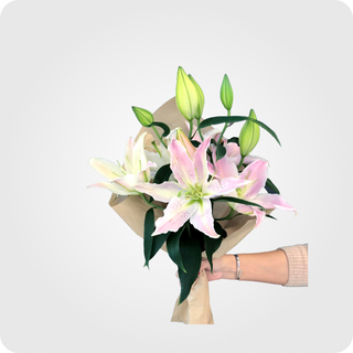 * თაიგული #14