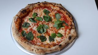 Маргарита (513g)