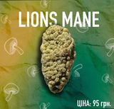 Lions Cookies шишка цукерка