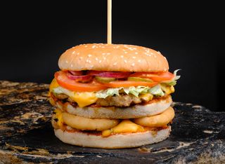 Double chiken burger (630г)