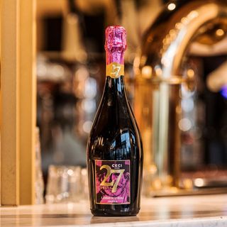 Lambrusco Giuseppe Verdi Rosa IGH