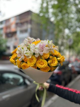 ველური სილამაზე
