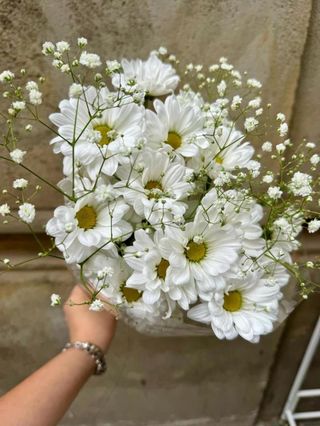 Ramo margaritas blancas con paniculata