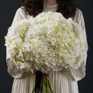 Buchet Hortensii Albe