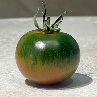 Pomodoro camone - 300 g