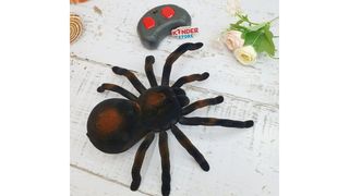 Паук на пульте управления