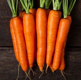 Шаурма Vegan Glovo